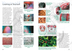 A5 Microscope Book - English
