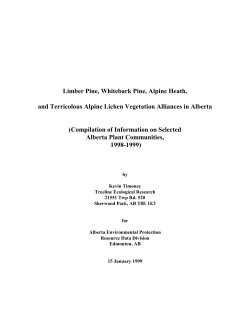 Limber Pine, Whitebark Pine, Alpine Heath, and