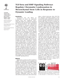 TGF-beta and BMP Signaling Pathways Regulate Chromatin