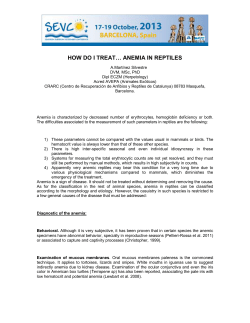 how do i treat&hellip; anemia in reptiles