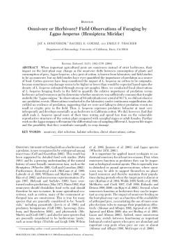 Omnivore or Herbivore? Field Observations of Foraging by Lygus