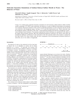 Molecular Dynamics Simulations of Sodium Dodecyl Sulfate Micelle