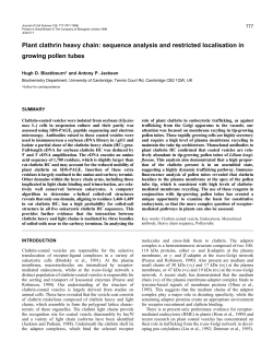 Plant clathrin heavy chain - Journal of Cell Science