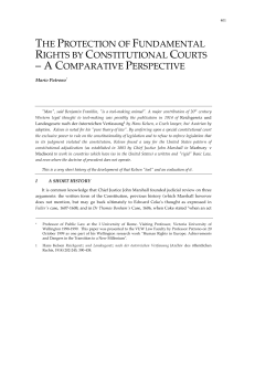 the protection of fundamental rights by constitutional courts
