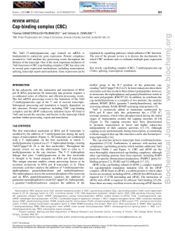 Cap-binding complex - Centre for Gene Regulation and Expression