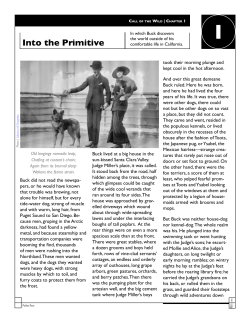 Into the Primitive - Clarity Innovations