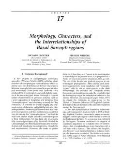 CHAPTER 17 Morphology,, Characters, and the Interrelationships of