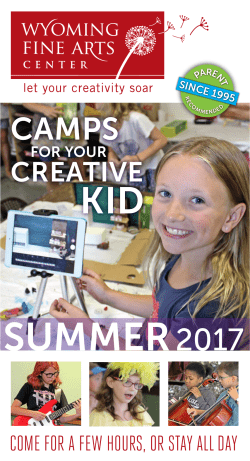Brochure Summer 2017 - Wyoming Fine Arts Center