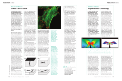Cells Like It Soft Supersonic Cracking