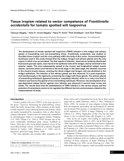 Tissue tropism related to vector competence of Frankliniella
