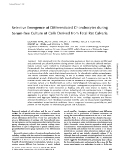 Selective Emergence of Differentiated Chondrocytes during Serum