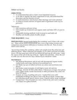 Here - The Food Project