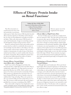 Effects of Dietary Protein Intake on Renal Functions