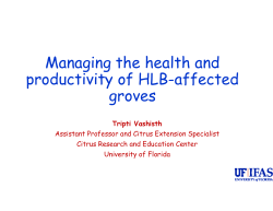 Managing the health and productivity of HLB-affected groves