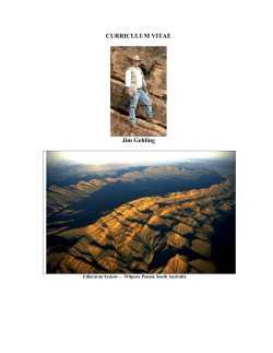 Curriculum Vitae - Monash University