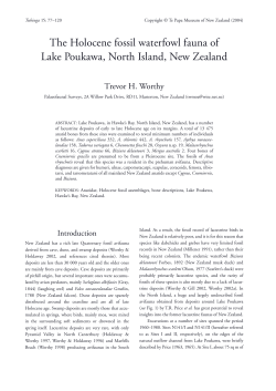 The Holocene fossil waterfowl fauna of Lake Poukawa