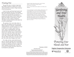 426-061_pdf - VTechWorks