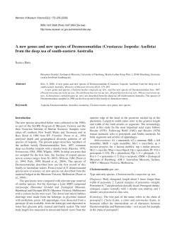 A new genus and new species of