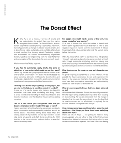 READ MORE - The Dorsal Effect