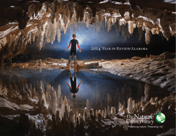 2014 Annual Report - The Nature Conservancy