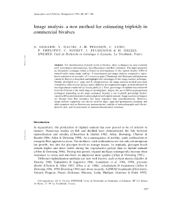 Image analysis : a new method for estimating triploidy in commercial