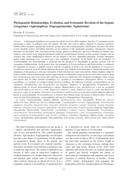 Phylogenetic Relationships, Evolution, and Systematic Revision of