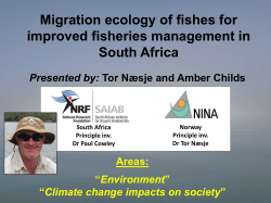 Migration ecology of fishes for improved fisheries management in