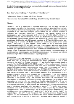 The Bcl10/paracaspase signalling complex is functionally