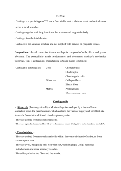 Cartilage is a special type of CT has a firm pliable matrix that can