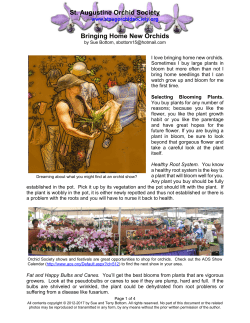 Bringing Home New Orchids - St. Augustine Orchid Society