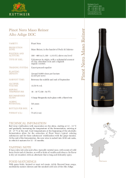 Pinot Nero Maso R einer