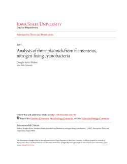 Analysis of three plasmids from filamentous, nitrogen