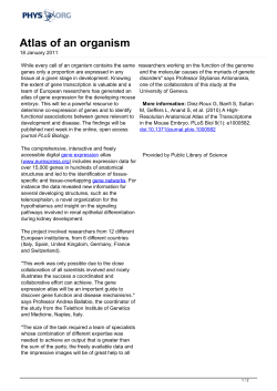 Atlas of an organism