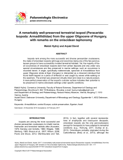 A remarkably well-preserved terrestrial isopod (Peracarida: Isopoda