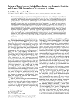 Patterns of Intron Loss and Gain in Plants: Intron