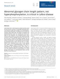 Abnormal glycogen chain length pattern, not hyperphosphorylation