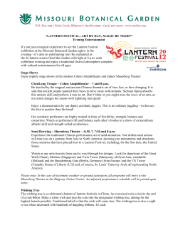 Lantern Festival - Evening Entertainment