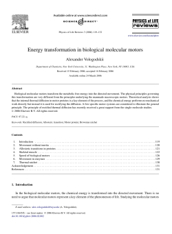 Energy transformation in biological molecular motors