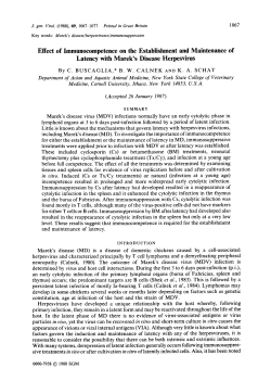 Effect of lmmunocompetence on the Establishment and