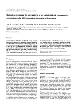 Histamine decreases the permeability of an endothelial cell