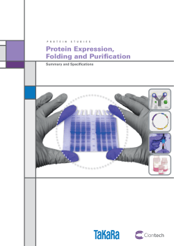 Protein Expression, Folding and Purification