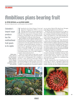 Ambitious plans bearing fruit