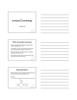 Computat onal Biology RNA secondary structure Representation