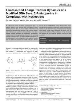 2-Aminopurine in Complexes with Nucleotides