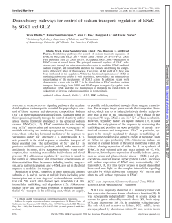 Disinhibitory pathways for control of sodium transport - AJP