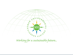 nuclear power? why? why not?