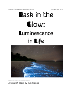 Bask in the Glow - Hilltown Cooperative Charter Public School