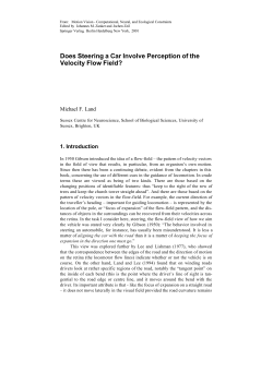 Does Steering a Car Involve Perception of the Velocity Flow Field?