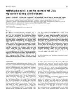 Licensing of CHO nuclei during telophase