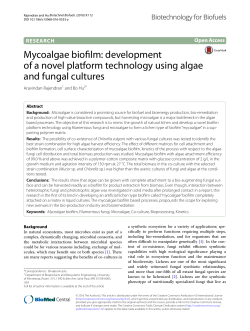 Mycoalgae biofilm: development of a novel platform technology